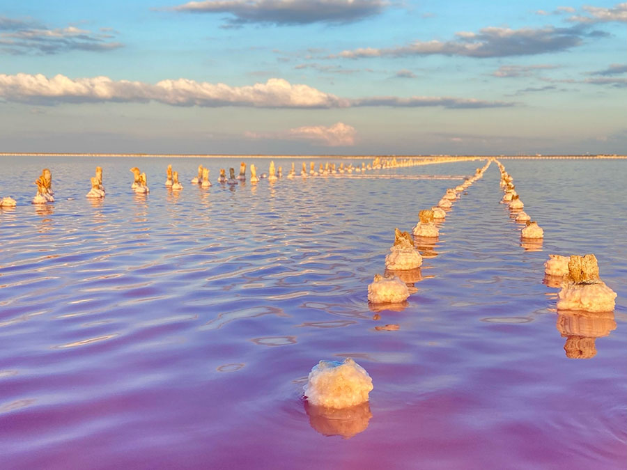 Фотосессия на розовом озере Сасык-Сиваш