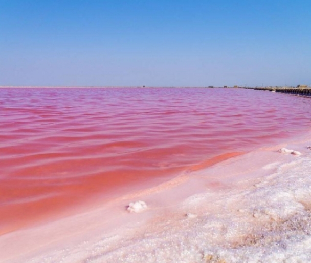Отдых в Крыму в Саках – Розовое озеро Сасык-Сиваш