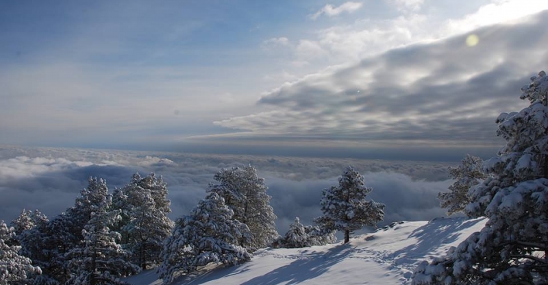 5 ОСОБЕННОСТЕЙ ЗИМНЕГО ОТДЫХА В КРЫМУ