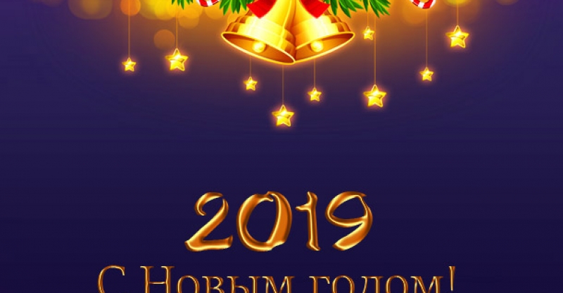 ПОЗДРАВЛЯЕМ ВАС С НОВЫМ 2019 ГОДОМ!